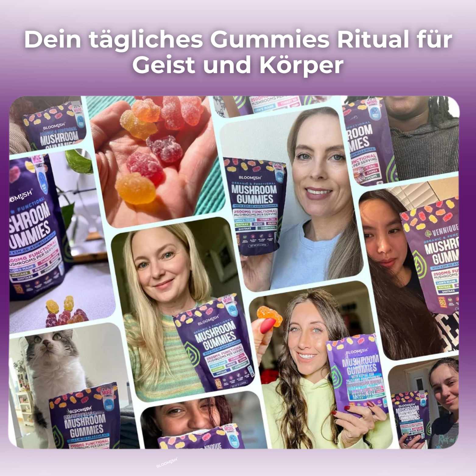 Funktionelle Bio Gummies mit Pilzen und Ashwagandha – BLOOMYSH